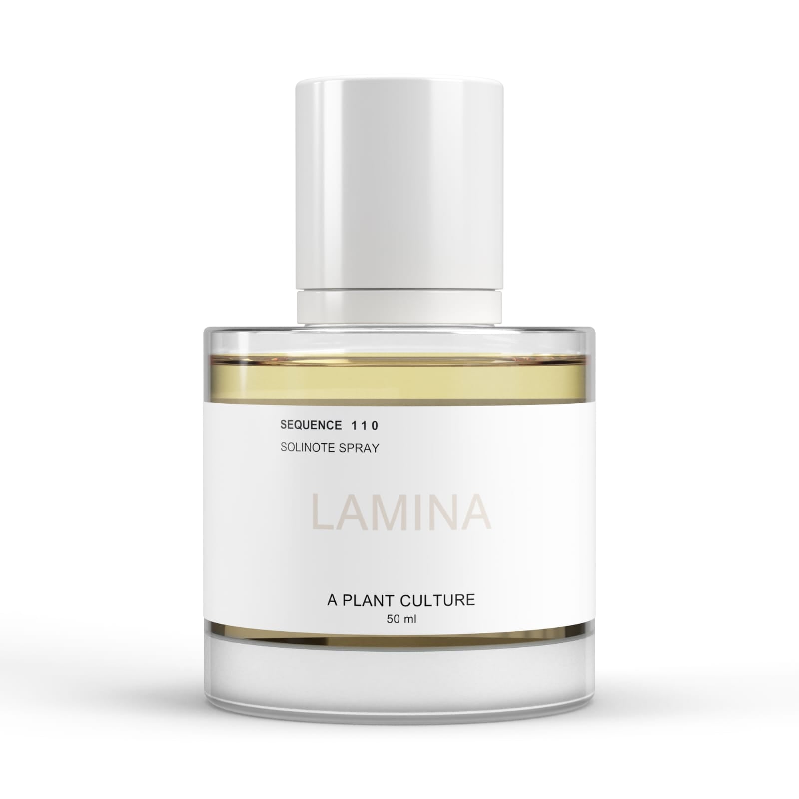 LAMINA